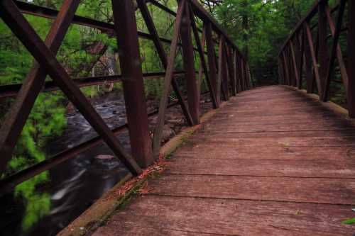 A wooden bridge crosses a flowing stream, surrounded by lush green trees and foliage.