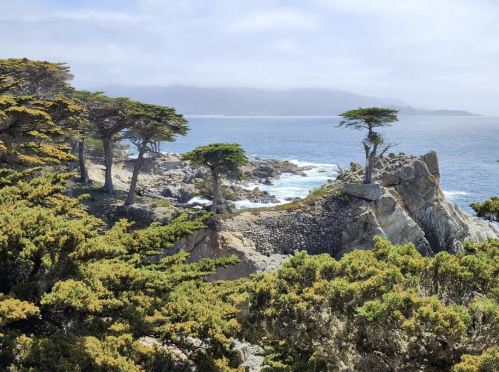 Coastal landscape featuring rocky cliffs, trees, and waves under a cloudy sky.