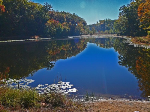 A serene lake reflecting colorful autumn trees and a clear blue sky, surrounded by lush greenery.