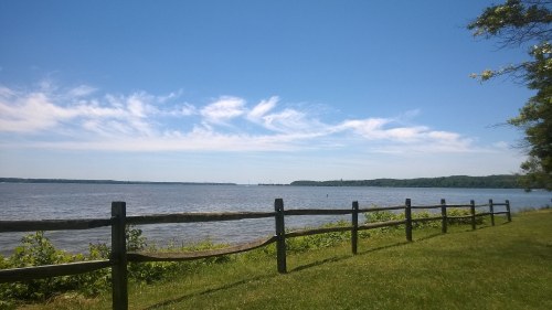 A serene lakeside view with a wooden fence, lush green grass, and a clear blue sky with wispy clouds.