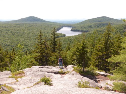 A person stands on a rocky outcrop with a dog, overlooking a lush green valley and a lake in the distance.