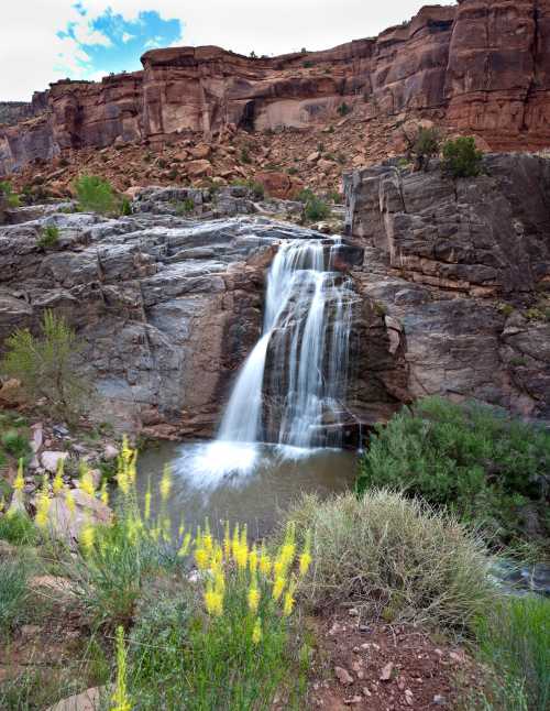 A serene waterfall cascades over rocky cliffs into a tranquil pool, surrounded by lush greenery and wildflowers.