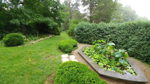 Lush garden path with neatly trimmed bushes and a small pond surrounded by greenery.