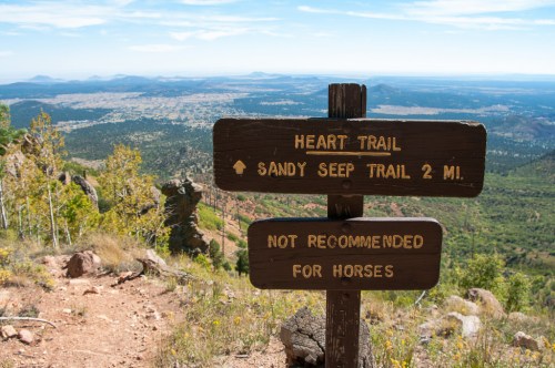 Trail sign indicating Heart Trail and Sandy Seep Trail, with a view of a lush landscape in the background.