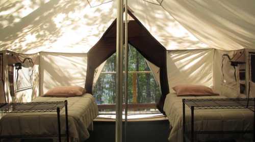 Interior of a tent with two beds, natural light filtering through, surrounded by trees.