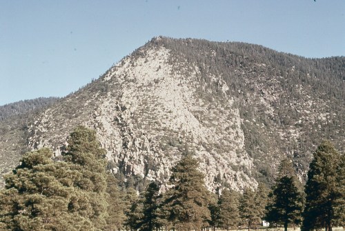 A rocky mountain peak rises above a forest of evergreen trees under a clear blue sky.