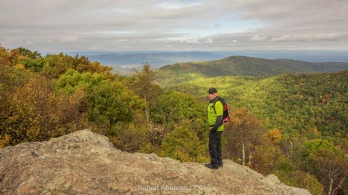 A person stands on a rocky outcrop, overlooking a vibrant, colorful landscape of trees and rolling hills.