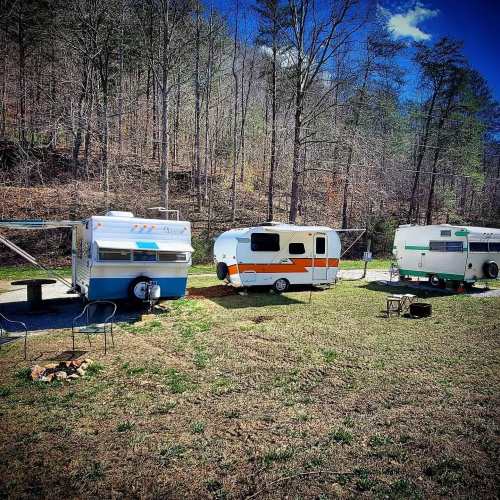 Three vintage campers parked in a grassy area surrounded by trees under a clear blue sky.