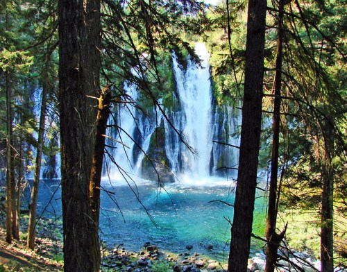 A serene waterfall cascades into a turquoise pool, framed by tall trees and lush greenery.