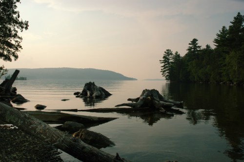 Serene lake view at dawn, with calm waters, distant hills, and scattered logs along the shore.