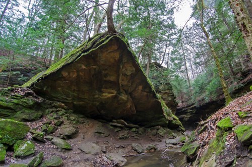 A large, moss-covered rock formation with a flat top, surrounded by trees in a wooded area.