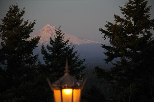 A mountain peak is visible in the distance, framed by trees, with a glowing lantern in the foreground at dusk.