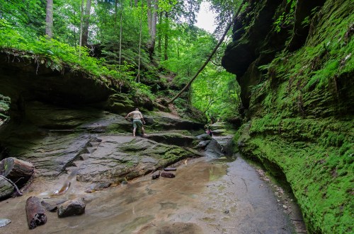 Two people explore a lush, green canyon with rocky walls and a shallow stream running through it.