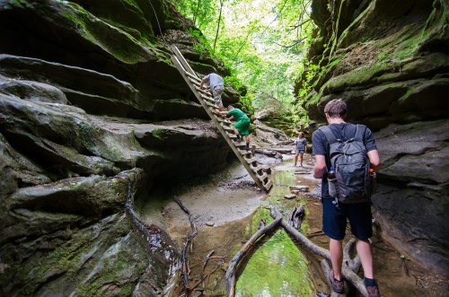 Hikers navigate a rocky canyon with a wooden ladder and lush greenery overhead.