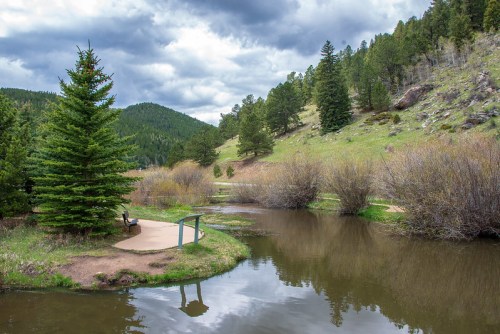 A serene landscape featuring a calm pond, lush greenery, and a bench beside a tree under a cloudy sky.