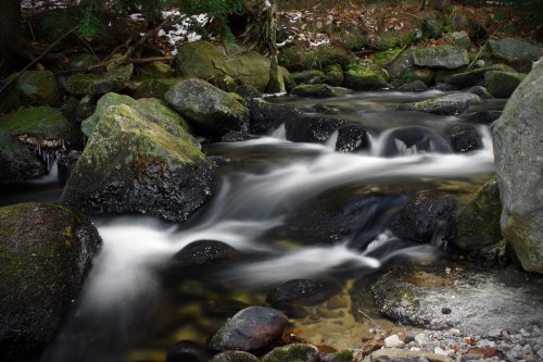 A serene stream flows over smooth rocks, surrounded by lush greenery and scattered snow, creating a tranquil natural scene.