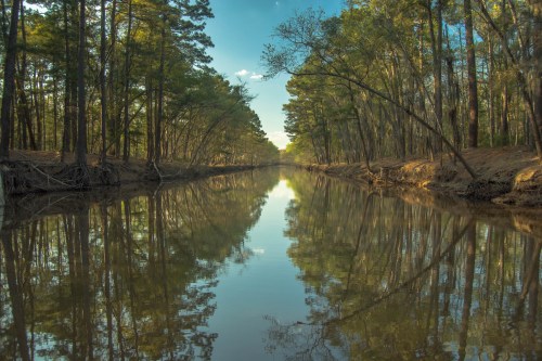 A serene river surrounded by tall trees, reflecting the sky and foliage on its calm surface.