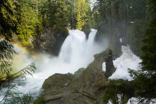 A scenic waterfall surrounded by lush green trees and mist, with a hint of a rainbow in the spray.