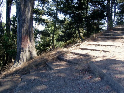A winding dirt path with wooden steps, surrounded by trees and greenery in a natural setting.