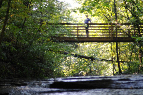 A blurred view of a wooden bridge over a stream, surrounded by lush green trees and sunlight filtering through the leaves.