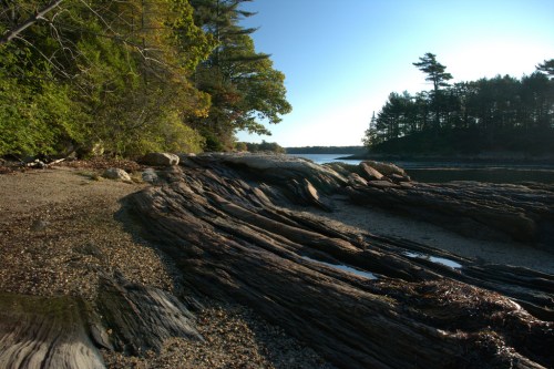 A serene riverside scene with weathered logs, sandy shore, and trees reflecting the calm water under a clear sky.