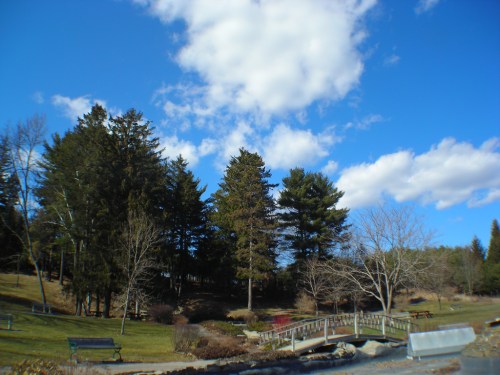 A serene park scene featuring a wooden bridge, lush trees, and a bright blue sky with fluffy clouds.