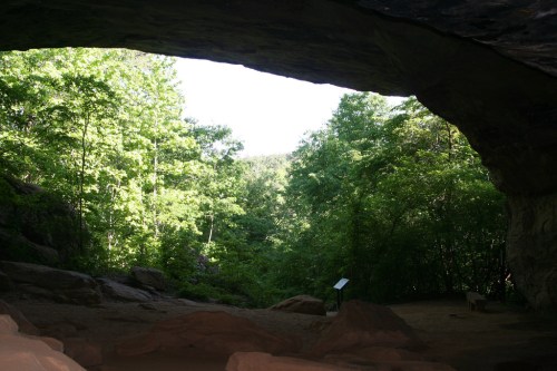 A view from inside a cave, showcasing lush green trees and sunlight filtering through the cave opening.