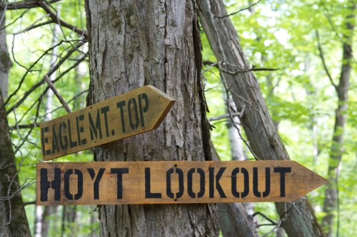 Wooden directional signs on a tree point to "Eagle Mt. Top" and "Hoyt Lookout" in a lush green forest.