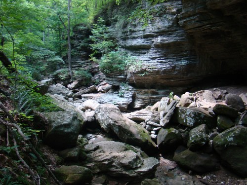 A serene forest scene featuring rocky terrain, lush greenery, and steep stone cliffs under dappled sunlight.