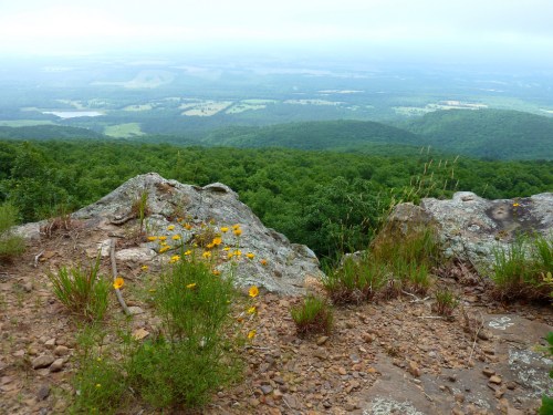 A rocky ledge with wildflowers overlooks a lush green valley and distant hills under a cloudy sky.