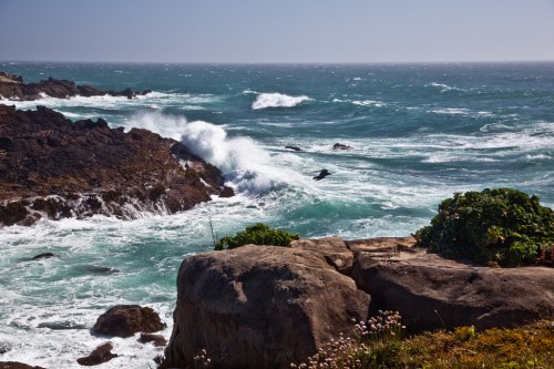 Waves crash against rocky coastline under a clear blue sky, with greenery in the foreground.