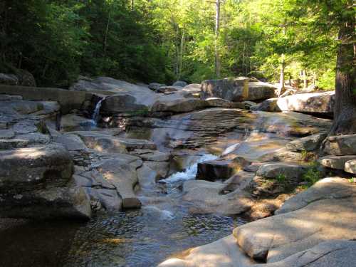 A serene rocky landscape with a gentle stream flowing through lush green trees and sunlight filtering down.