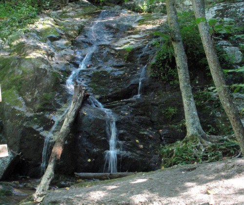 A small waterfall cascading over rocks, surrounded by lush greenery and trees.