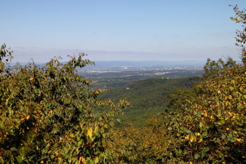 A scenic view of rolling hills and valleys, framed by green and yellow foliage under a clear blue sky.