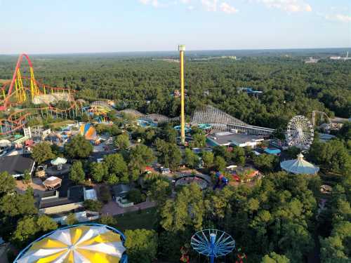 Aerial view of an amusement park with roller coasters, rides, and lush green trees in the background.