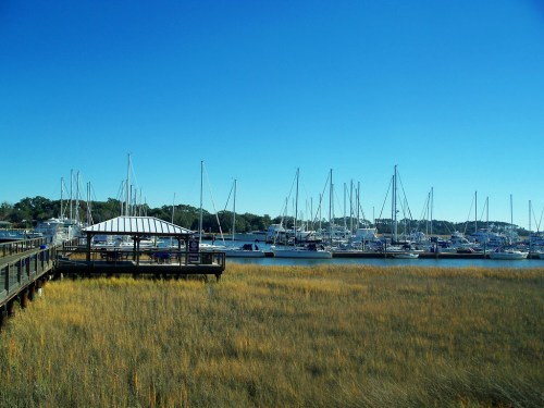 A marina with numerous sailboats docked, surrounded by tall grass under a clear blue sky.