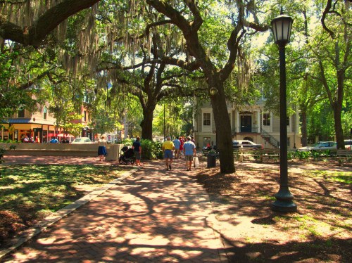 A sunny park scene with people walking along a shaded path under large trees draped with Spanish moss.