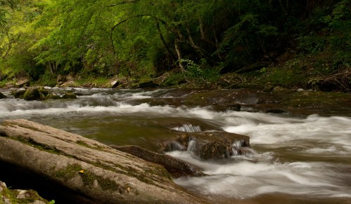 A serene river flows over rocks, surrounded by lush green trees and a peaceful natural landscape.