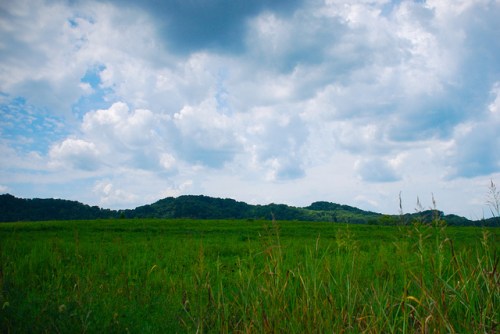 Lush green field with rolling hills under a cloudy sky, creating a serene natural landscape.