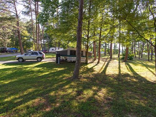 A pop-up camper parked among trees, with sunlight casting long shadows on the grassy ground.