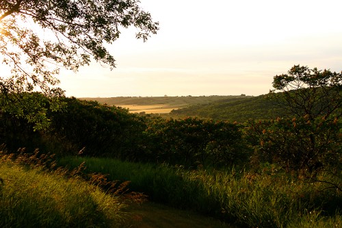 A serene landscape at sunset, featuring rolling hills, lush greenery, and a golden horizon.