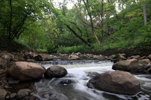 A serene stream flows over rocks, surrounded by lush green trees and foliage in a tranquil natural setting.