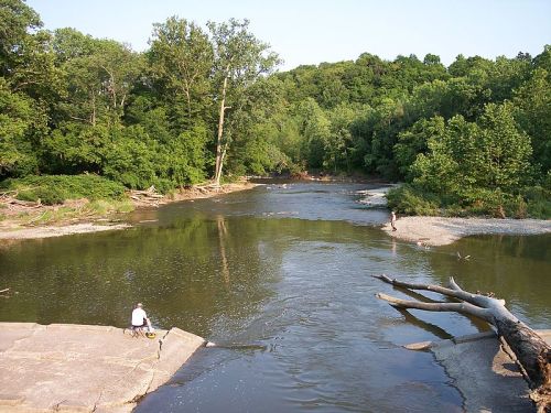 A serene river scene with lush greenery, featuring people fishing along the banks and a calm water surface.