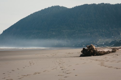 A sandy beach with a large log, mountains in the background, and mist hovering over the water. Footprints in the sand.