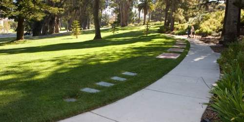 A winding pathway through a sunny park with lush green grass and trees, with people walking in the distance.