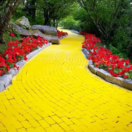 A winding yellow brick path surrounded by vibrant red flowers and lush greenery.