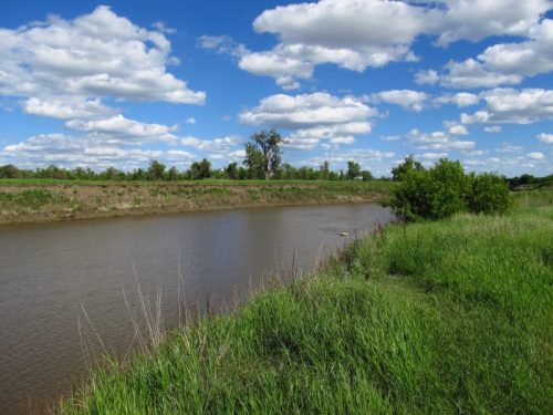 A serene riverbank scene with lush green grass, trees, and a blue sky filled with fluffy white clouds.