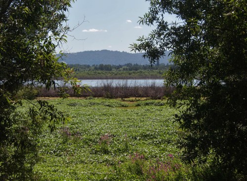 A serene landscape featuring a lush green field, a calm river, and distant mountains under a clear blue sky.