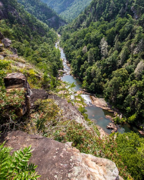 Aerial view of a winding river surrounded by lush green forests and rocky cliffs in a mountainous landscape.
