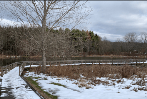 A serene winter landscape featuring a pond, bare trees, and a wooden walkway surrounded by snow and dry grass.